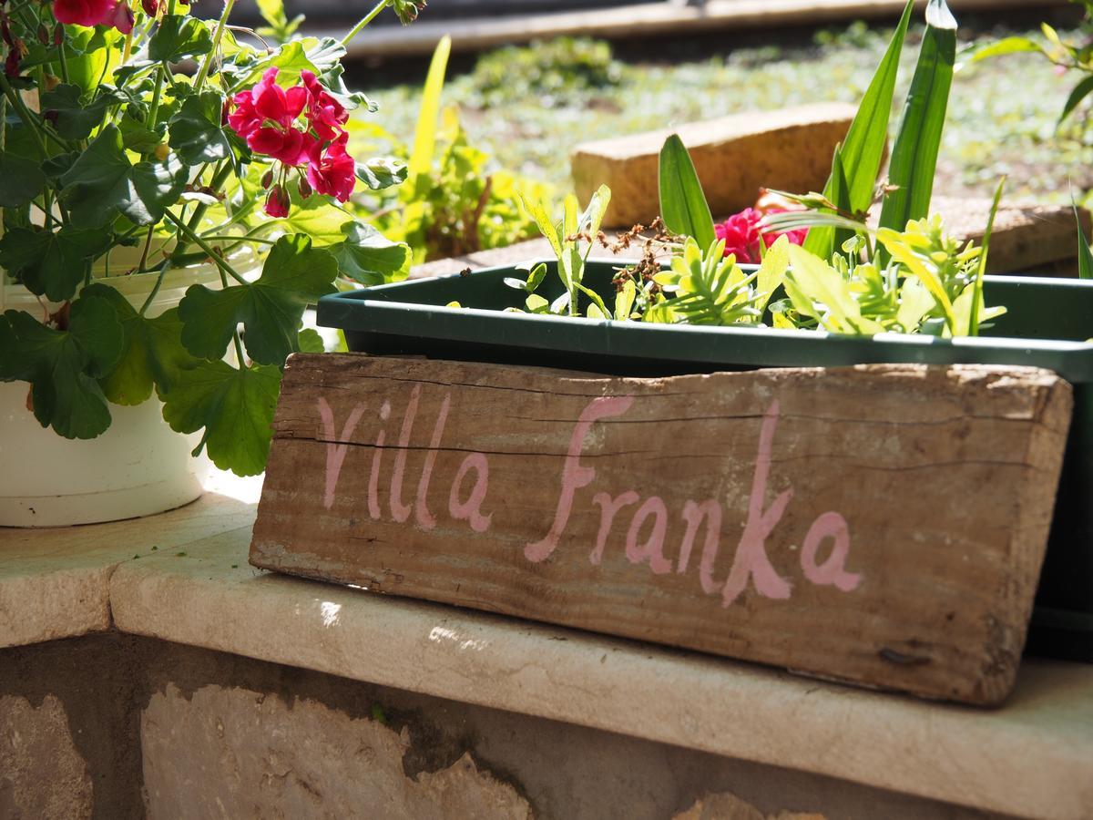 Villa Franka 로푸드 외부 사진
